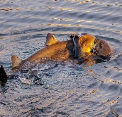  The Otter and the Heron, or: A Tale Of Unexpected Friendship Across Species?